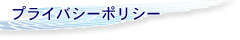 ﾌﾟﾗｲﾊﾞｼｰﾎﾟﾘｼｰ